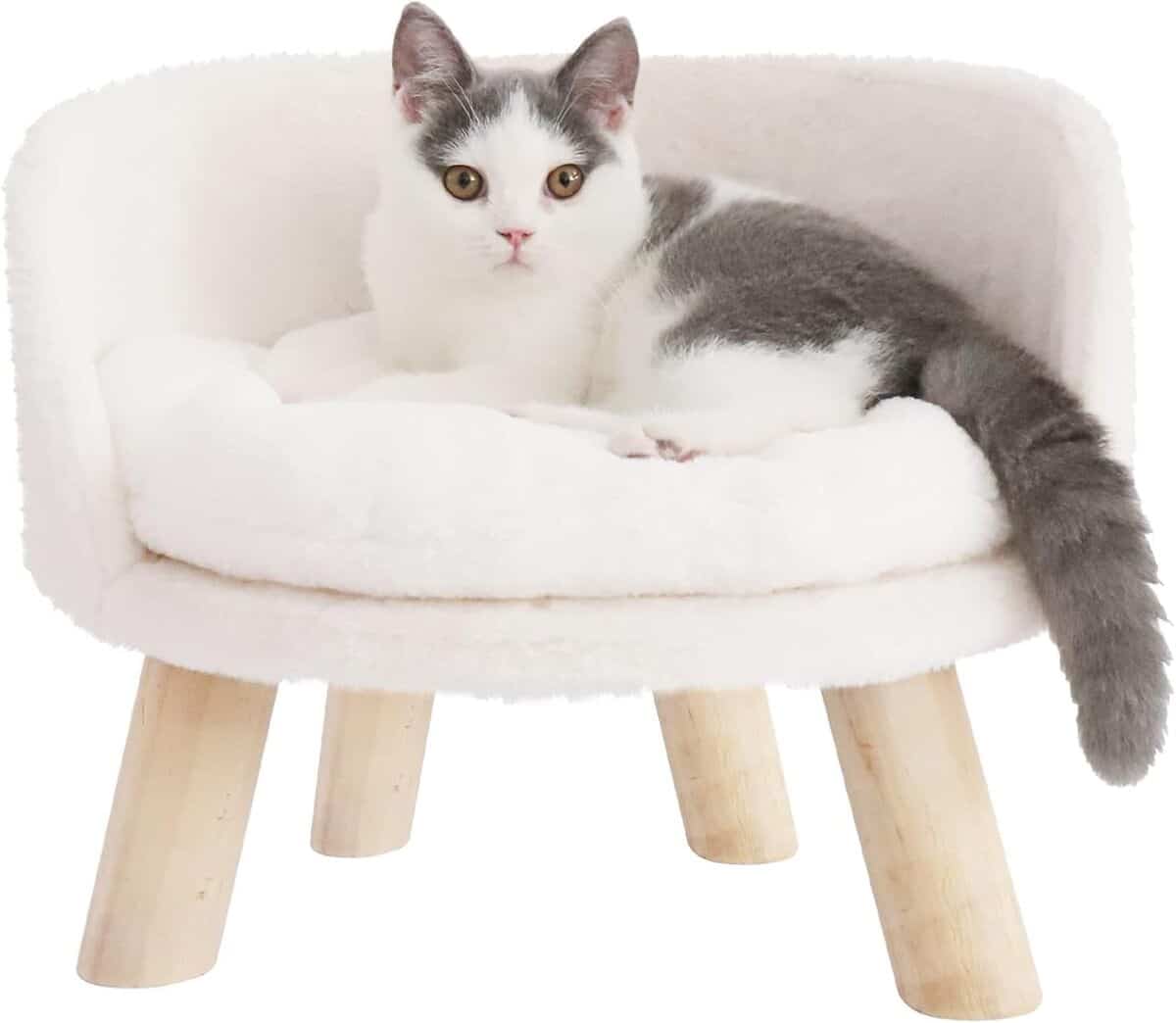 Test du canapé-lit BingoPaw pour chats et petits chiens : confort et détente