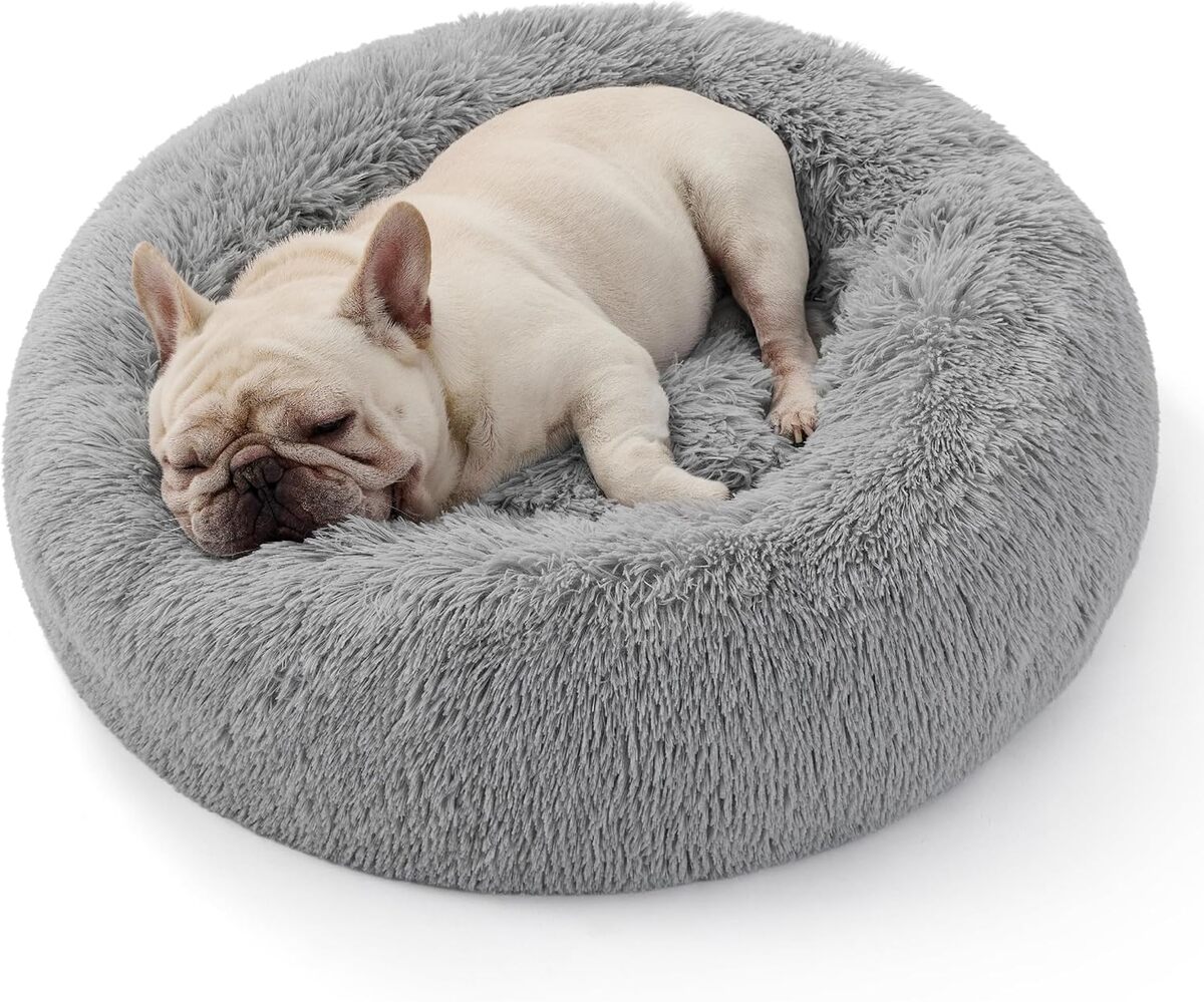 Test du lit apaisant Bedsure pour chat : confort et sécurité