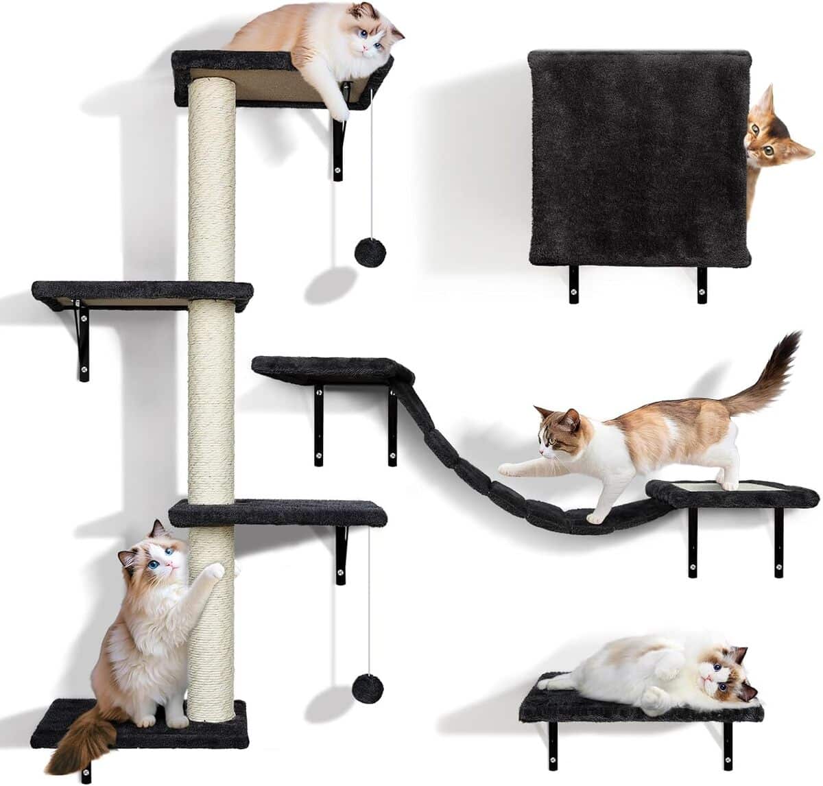 Test du mur d'escalade Zvonema pour chats : confort et amusement garantis