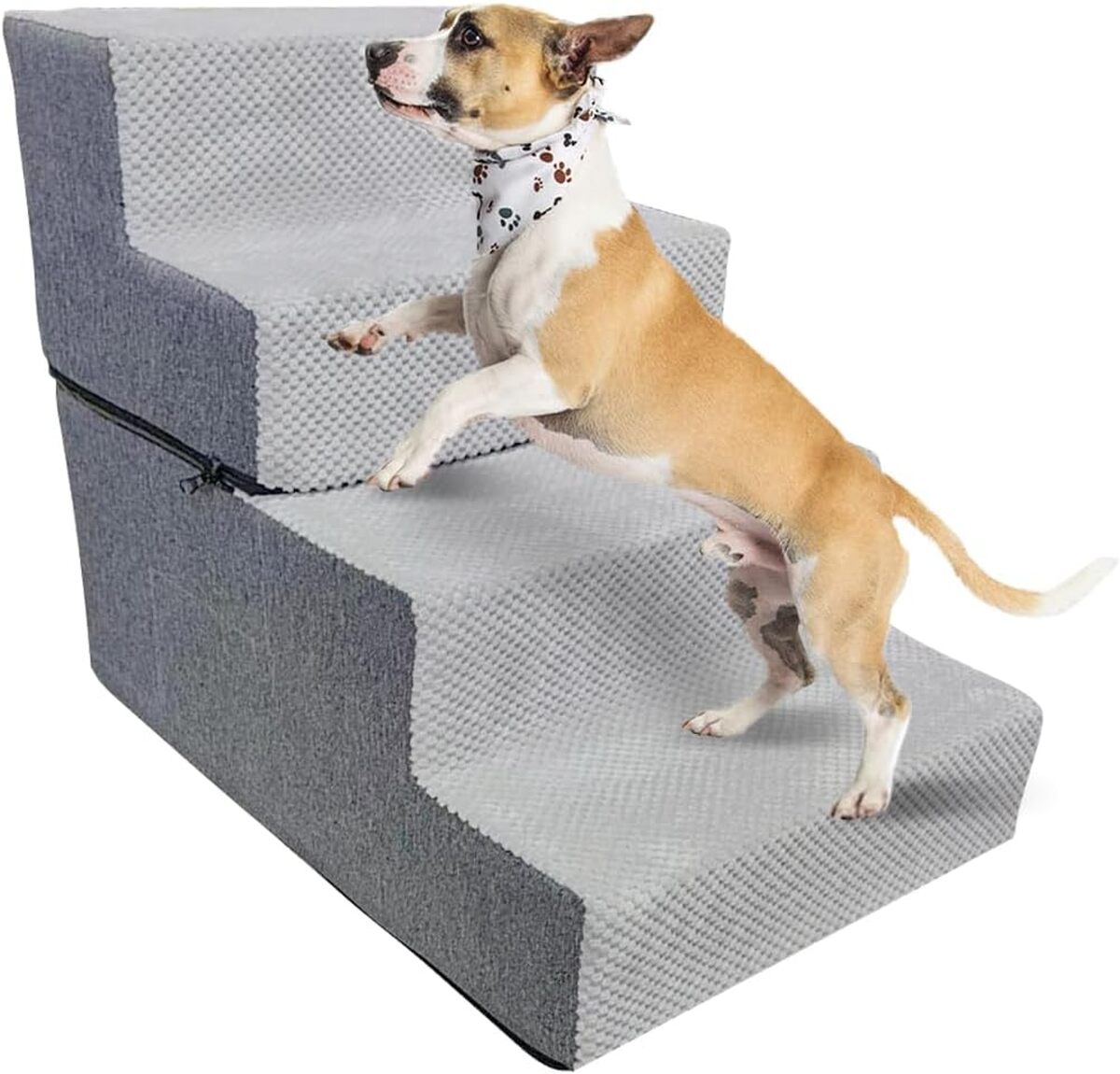 Test : escalier Galatée pour animaux, 4 étapes antidérapantes