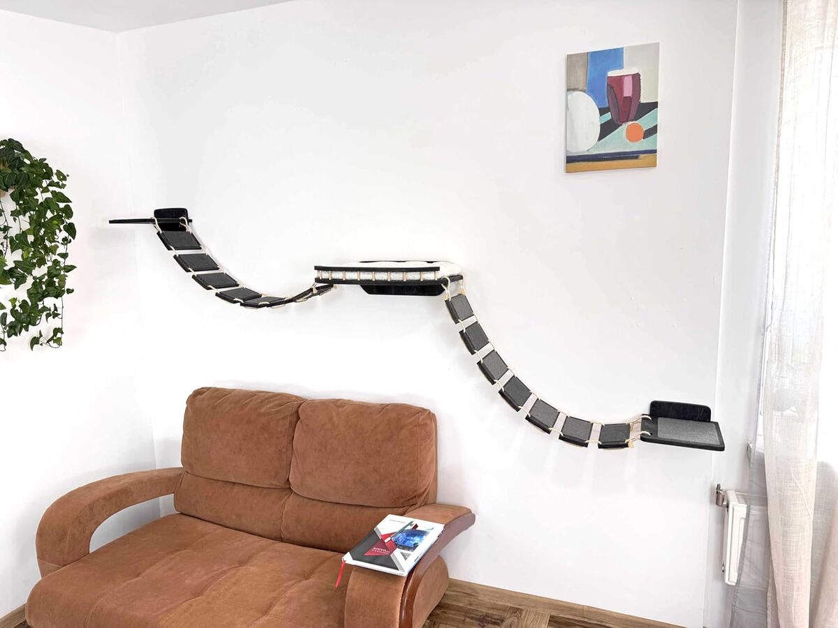 Test : mur d'escalade pour chat XXL RshPets® 285 cm