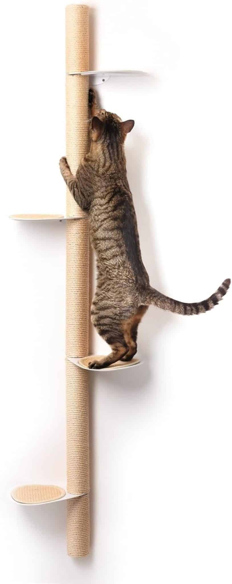 Test : tour d'étagère murale pour chats