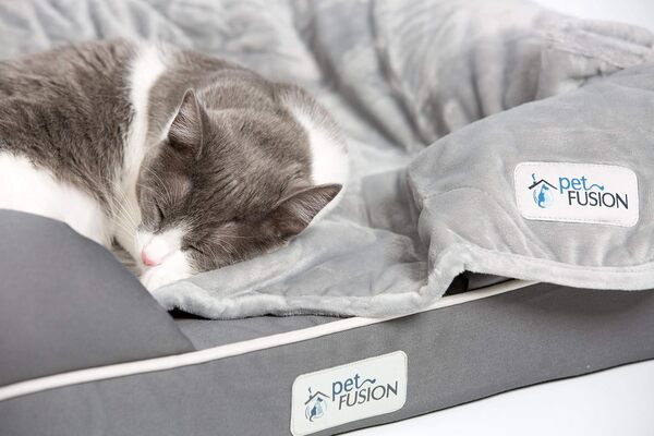 Petfusion Lit pour Chien en Mousse à Mémoire, pour Petits Chiens et Chats, Gris