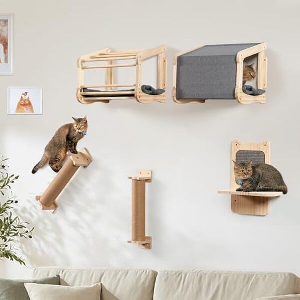 Découvrez notre test du mur d'escalade pour chat LitaiL en bois massif gris : un accessoire indispensable pour le bien-être de votre félin et l'esthétique de votre intérieur.