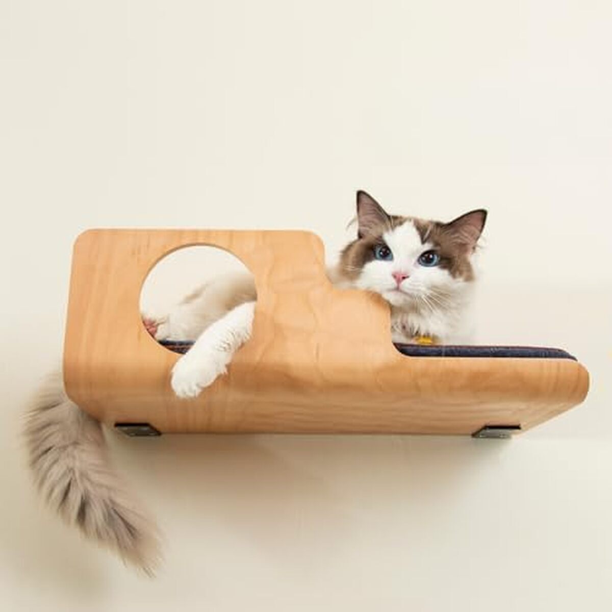 Avis sur l'étagère murale pour chat Liorce au design créatif