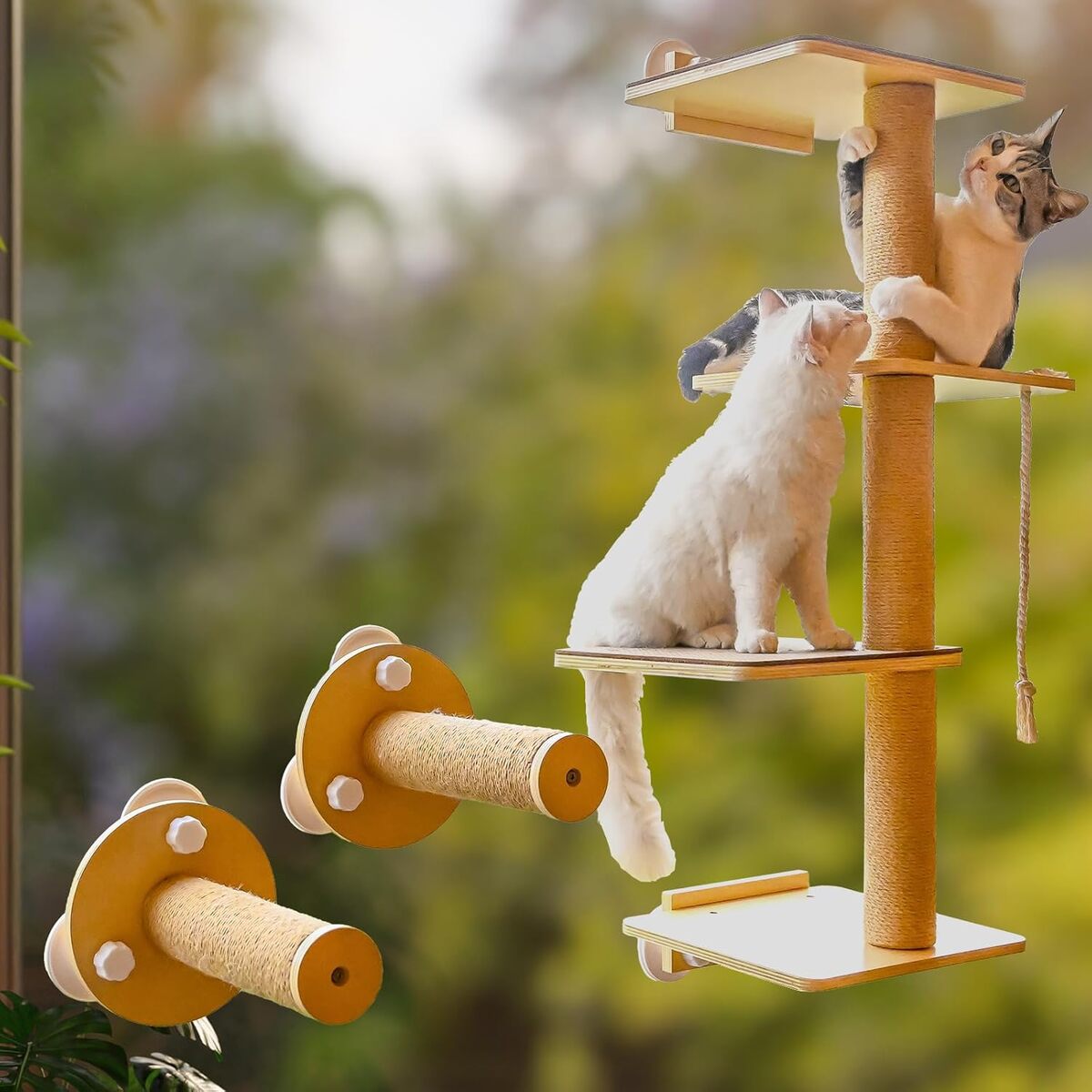 Test : arbre à chat mural avec perchoir et griffoir