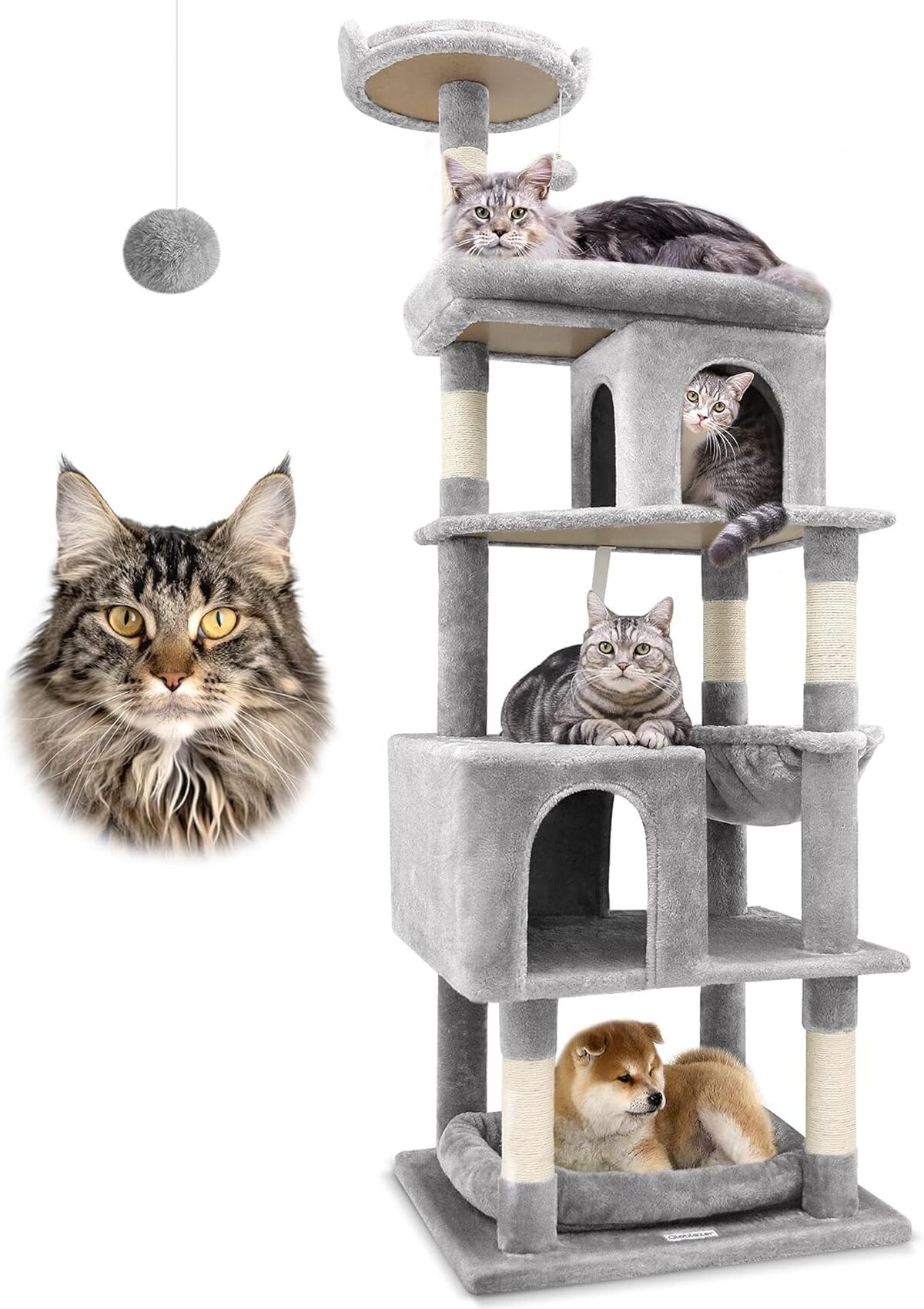 Test : arbre à chat XXL Globlazer pour maine coon et ragdoll