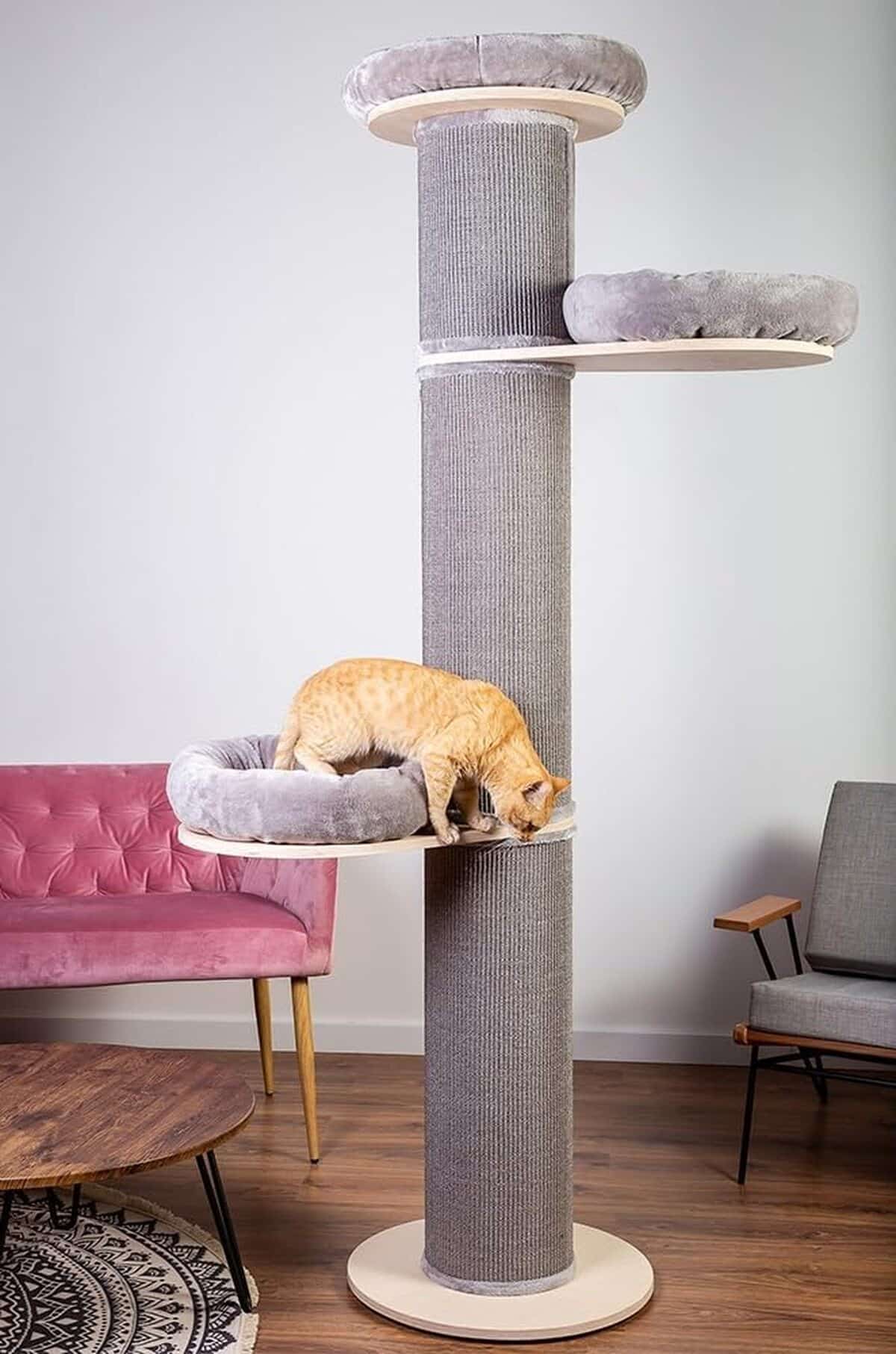 Test de la colonne à chat Natural Paradise Jasmine XXL : hauteur et confort au top