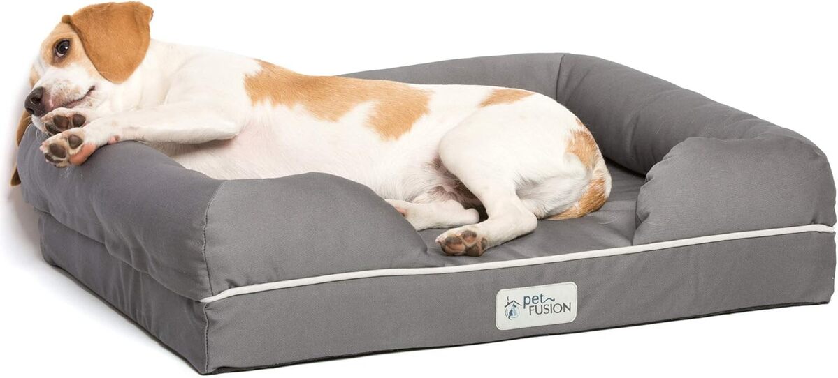Test du lit Petfusion en mousse à mémoire pour petits chiens et chats