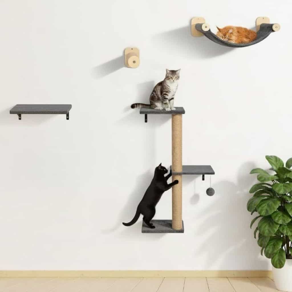 Test du mur d'escalade pour chat Woowood en bois massif