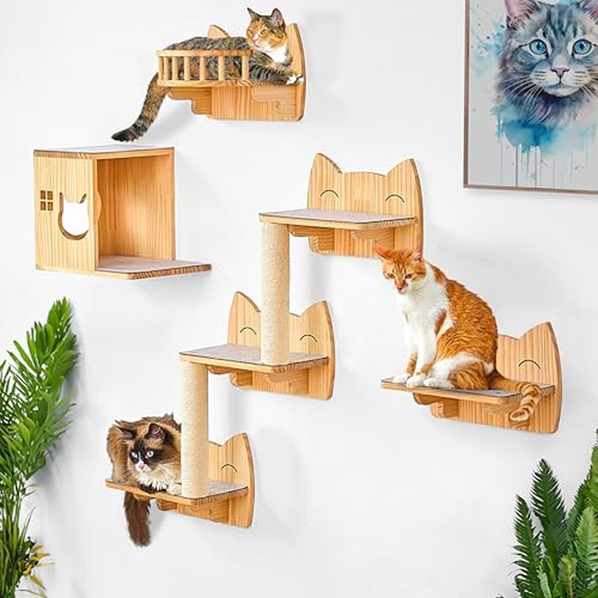Test : étagères murales IDAE pour chats grimpeurs