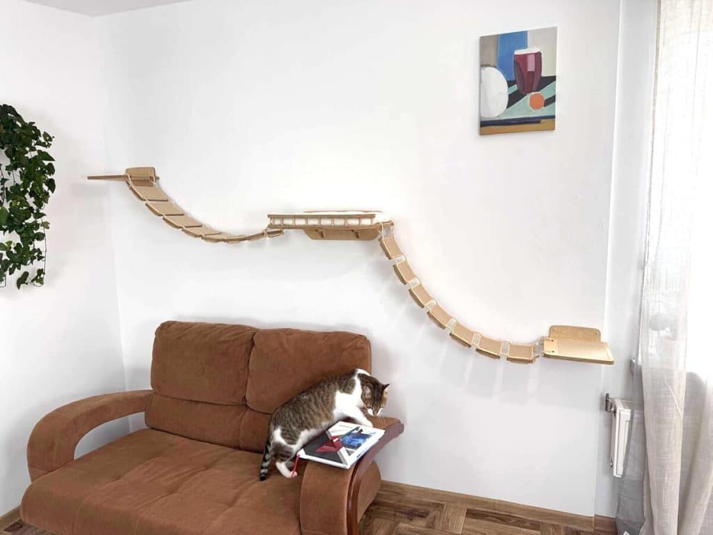 Test : mur d'escalade XXL RshPets, l'aventure féline élégante