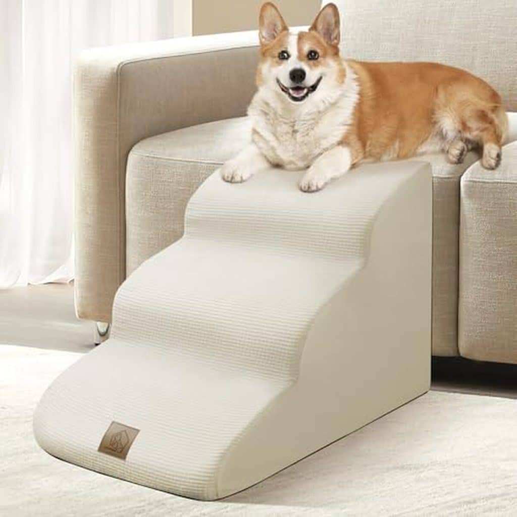 Test : rampe 3 niveaux Mestuel pour chiens et chats