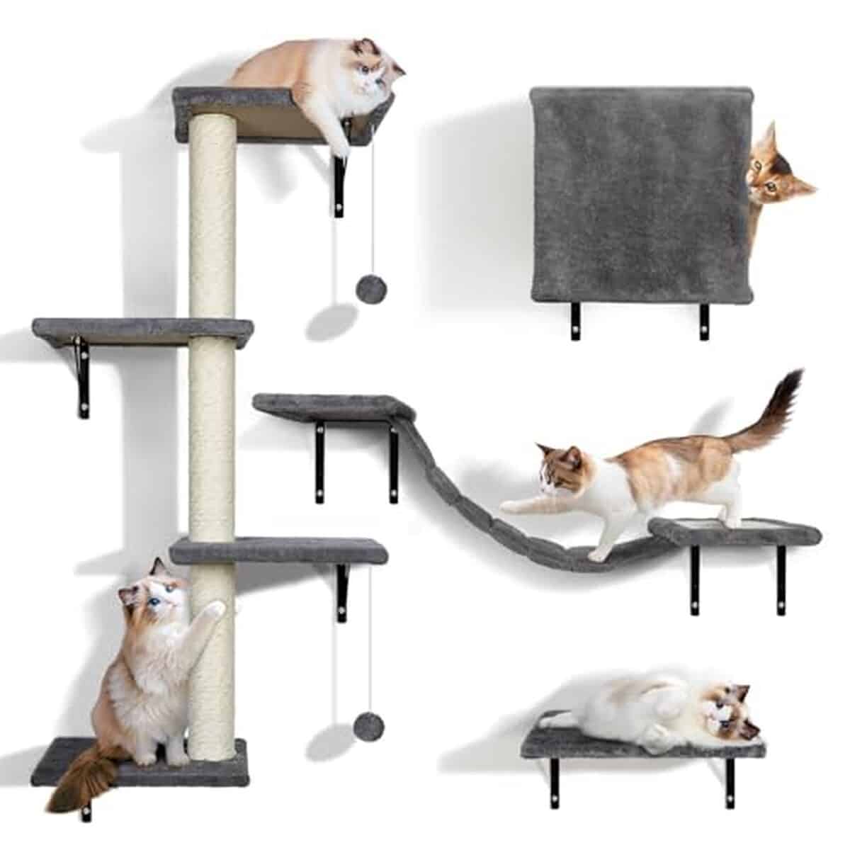 Test : arbre à chat mural Zvonema pour mur d'escalade gris