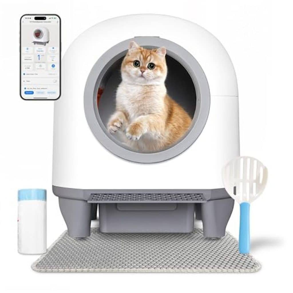 Test de la litière autonettoyante Devoko : innovation et grande capacité