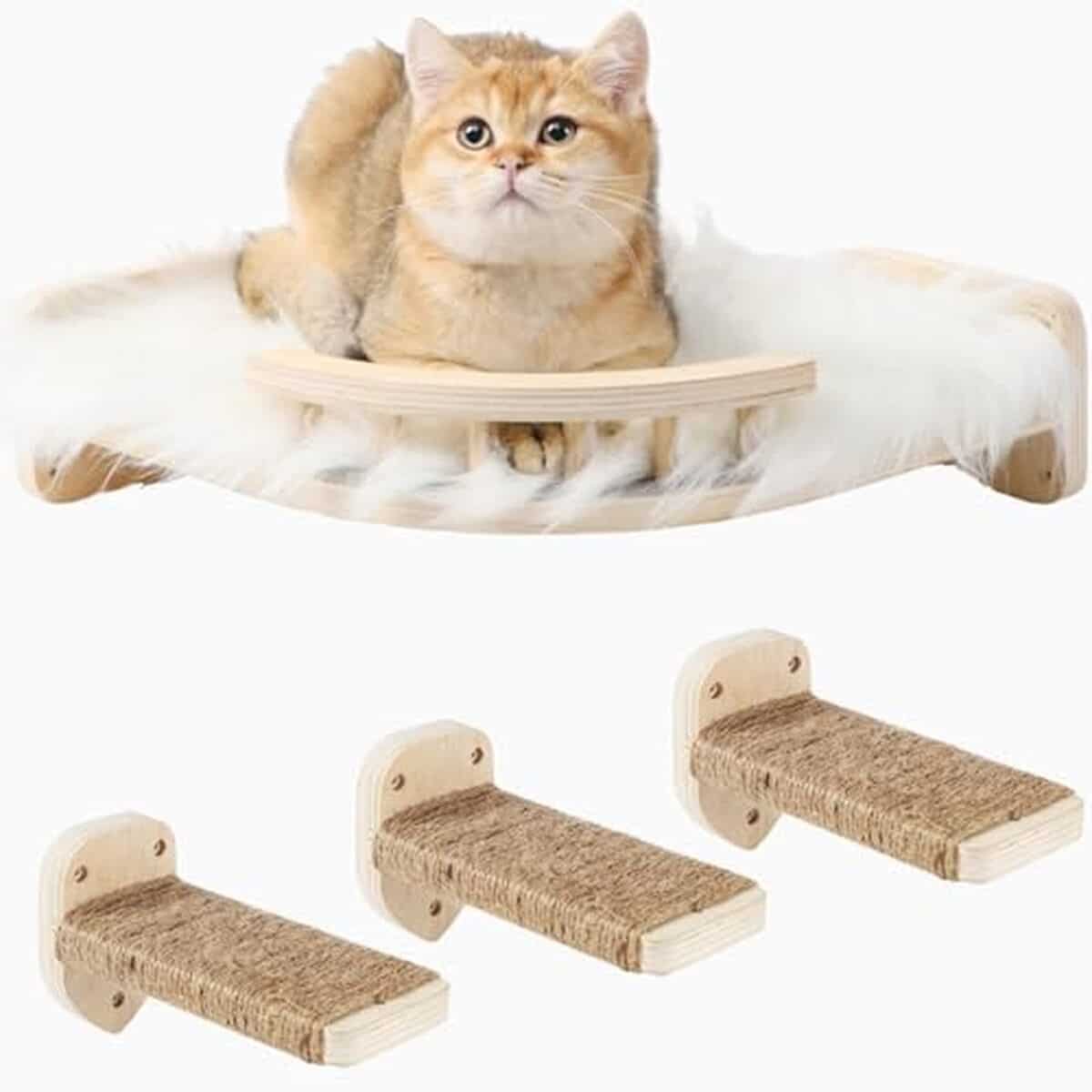 Test des étagères murales pour chat COOLEX : confort et fun assuré