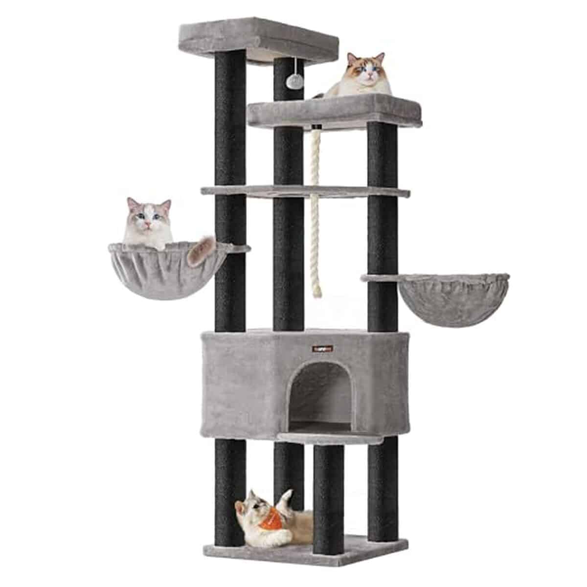Test du grand arbre à chat Feandrea XXL pour maine coons