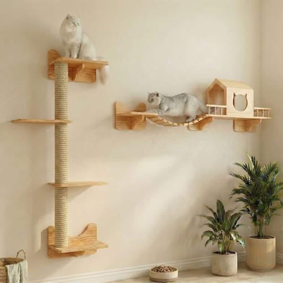 Test du kit d'escalade pour chat avec maison, échelle et poteaux