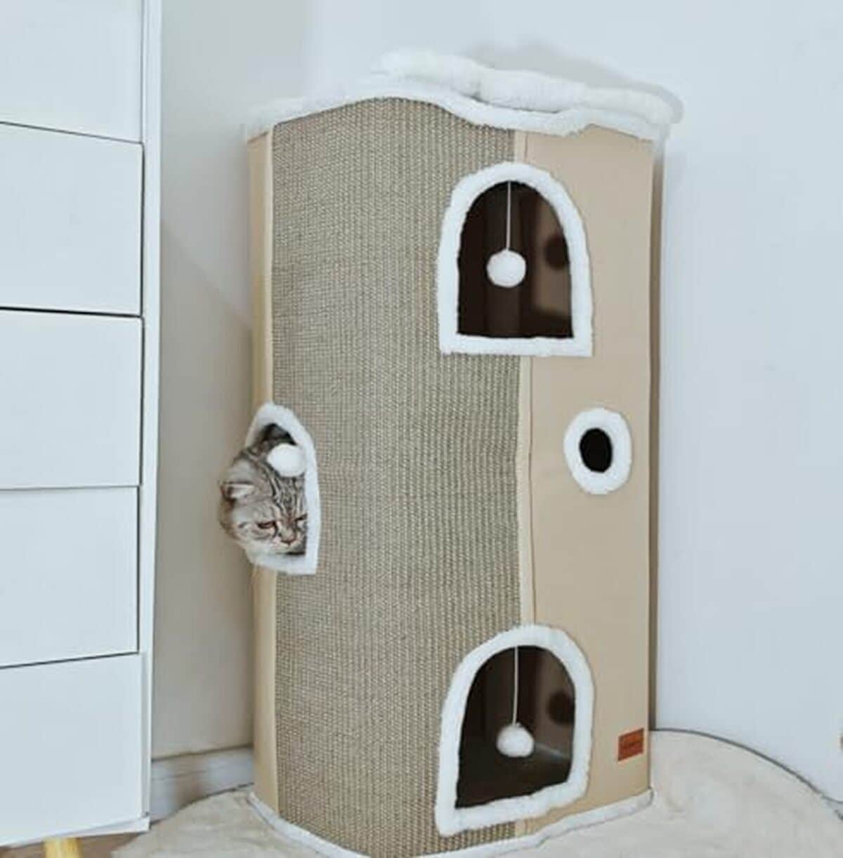 Test du lit pliable Spindro pour chats et chiens