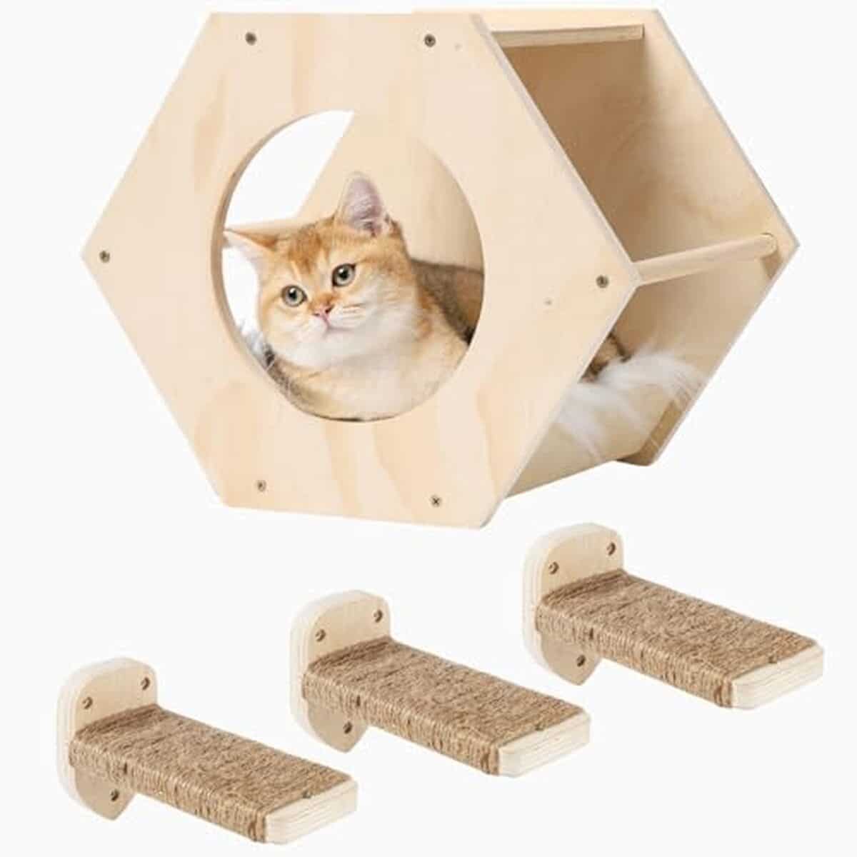 Test : étagère murale pour chat COOLEX avec griffoir et hamac