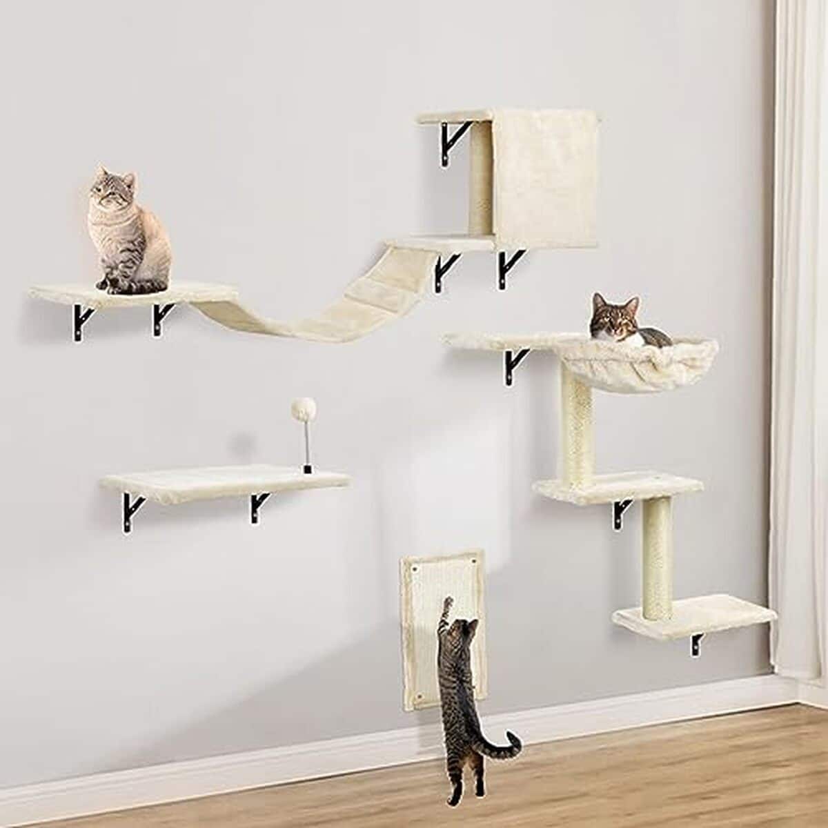 Test : étagères murales pour chat avec griffoir et herbe à chat