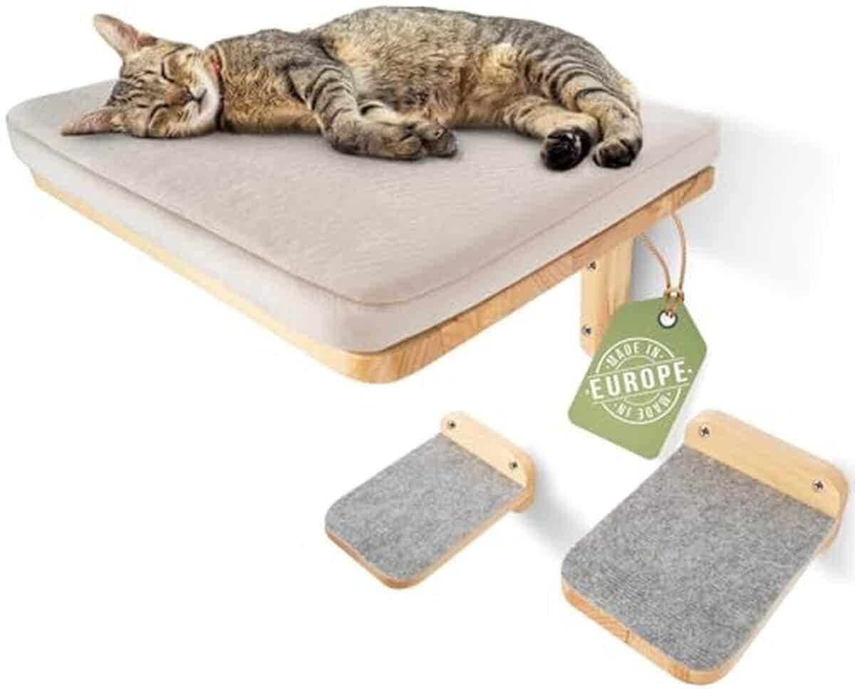 Test WOOWOOD : mur d'escalade extra grand pour chats