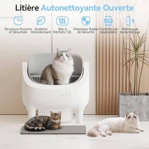 Découvrez notre test complet de la litière Triumphkey XXL : performance et confort pour vos gros chats.