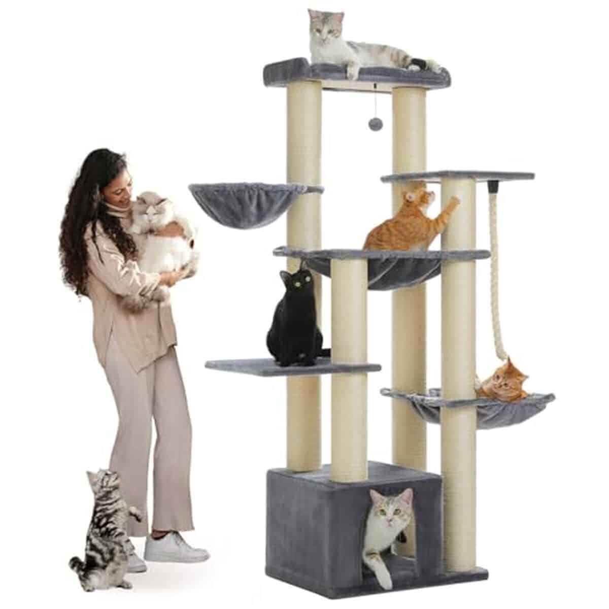 Test : arbre à chat XXL PAWZ Road 169 cm, robustesse et confort