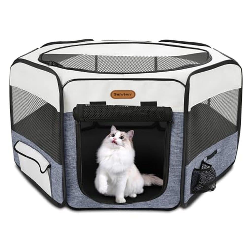 Test du parc de jeu pliable Seiyierr pour chat et chaton