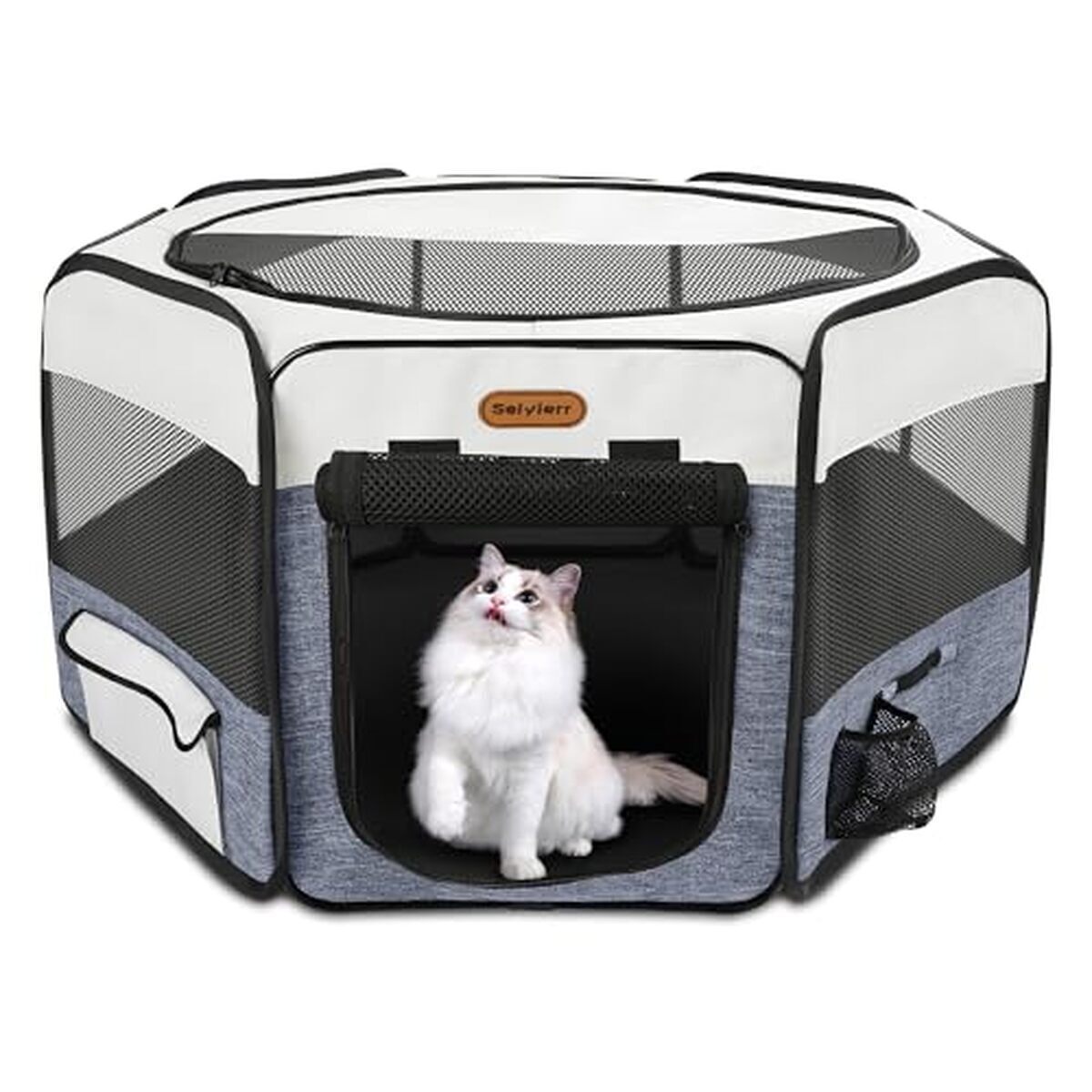 Test du parc de jeu pliable Seiyierr pour chat et chaton