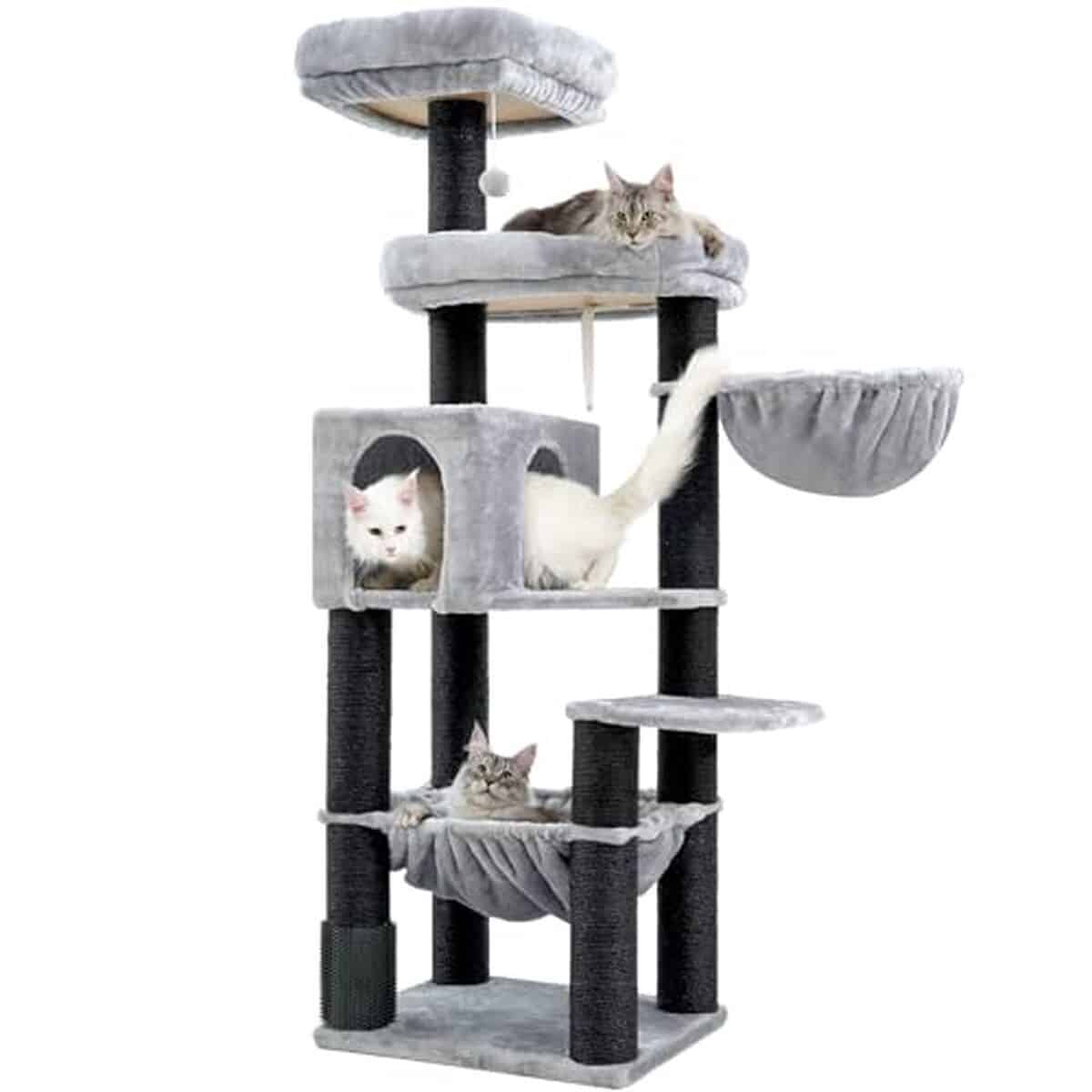 Test : grand arbre à chat XXL Hey-brother spécial Maine Coon